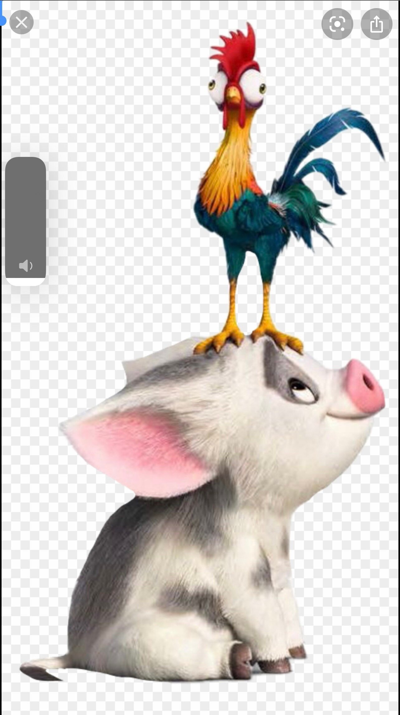 Disney Inspired Pin Display Shadowbox (Pua and Hei Hei)(placeholder pic), Corkboard, Cork Display