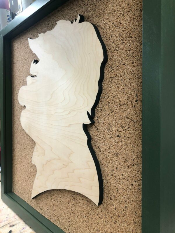 Disney Inspired Pin Display Shadowbox (UP Carl Fredricksen), Corkboard, Cork Display