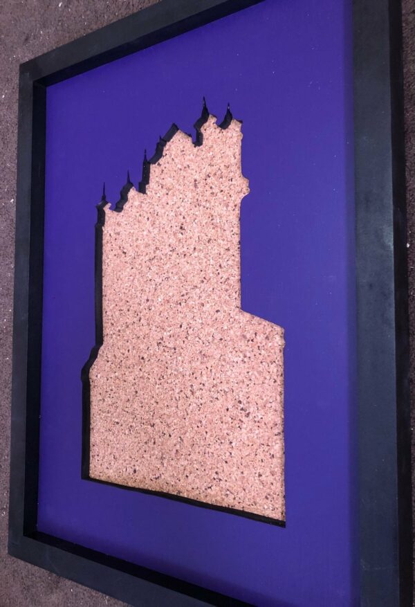 Disney Inspired Pin Display Shadowbox(Tower of Terror), Corkboard, Cork Display