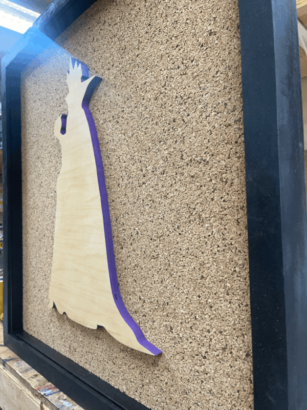 Disney Inspired Pin Display Shadowbox Evil Queen, Grimhilda, Corkboard, Cork Display